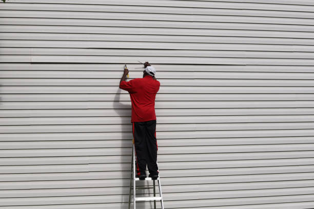 Best Fiber Cement Siding Installation  in Holland, MI