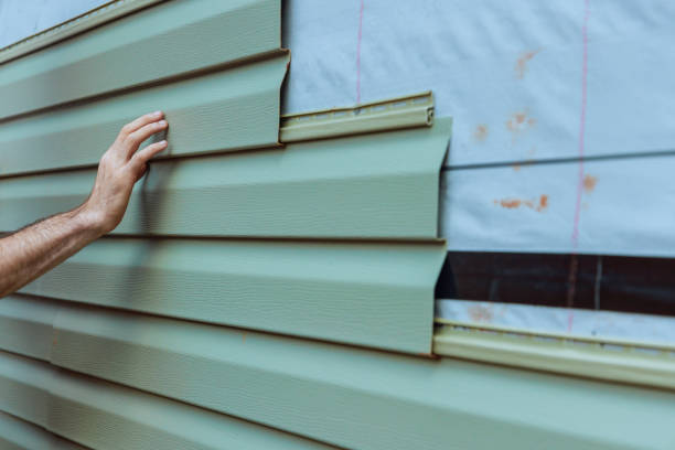 Best Vinyl Siding Installation  in Holland, MI